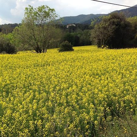 Casa Rural Can Panxa Sant Pere de Vilamajor Екстер'єр фото