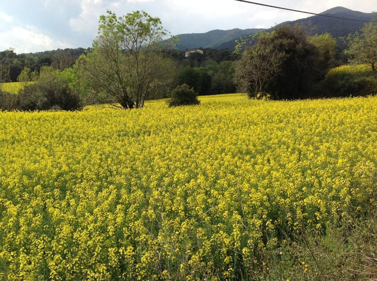 Casa Rural Can Panxa Sant Pere de Vilamajor Екстер'єр фото