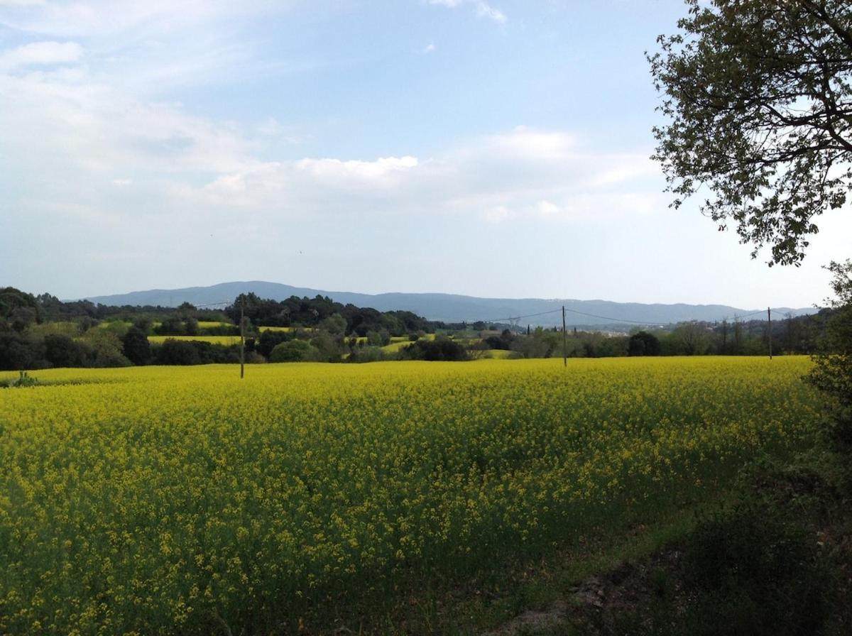Casa Rural Can Panxa Sant Pere de Vilamajor Екстер'єр фото