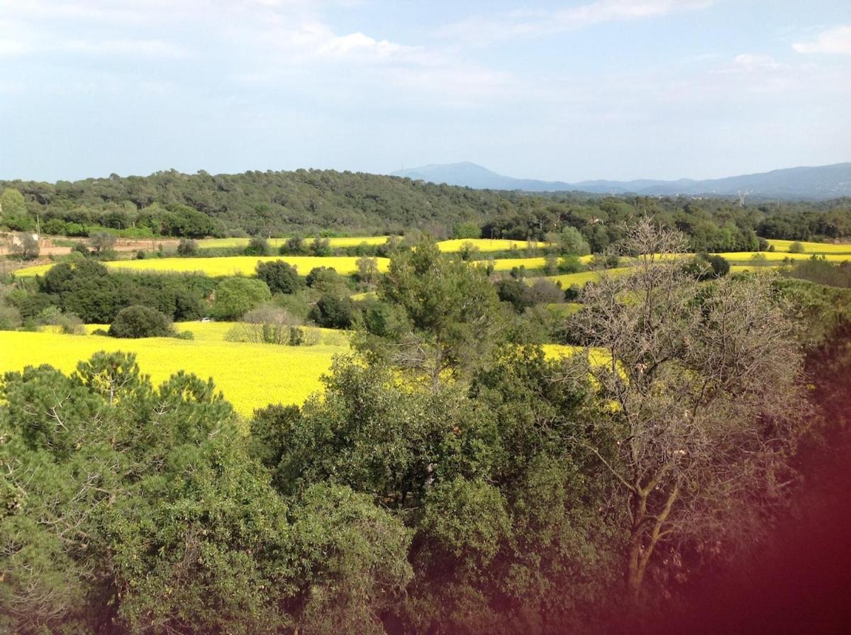 Casa Rural Can Panxa Sant Pere de Vilamajor Екстер'єр фото